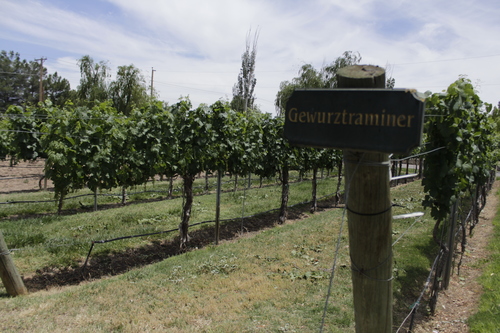 Vineyards & Wineries