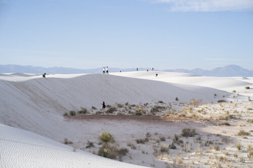 State & National Parks