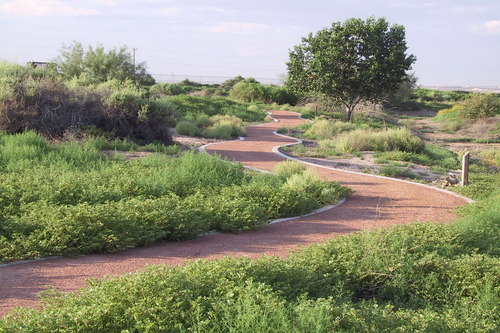 Stroll through the Rio Bosque Wetlands Park