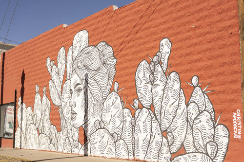 Stories Painted on the Streets 