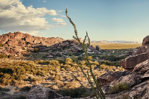 Explore the Outdoors
