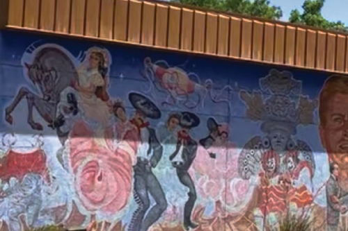 Chamizal Tour and Picnic